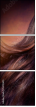 55112655