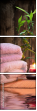 55155599