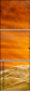 55164339