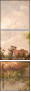 55361975