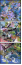 55763445