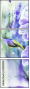 55838203