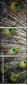 55839349