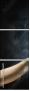 55886651