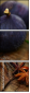 55956609