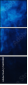 56092881