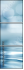 56349902