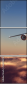 56401870