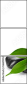 56689552