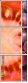 56732934