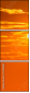 57016161