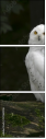 57060206