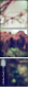 57216497