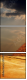 57369447