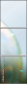 57437376