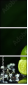 57479075