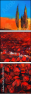 57599272