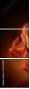 57663589
