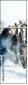 57801231