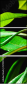 57907029