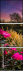 58441335