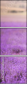 58710194
