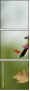58740604