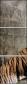 58756900