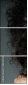 58845542