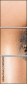 58896400