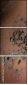 58896407