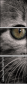 58977217