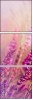 58998785