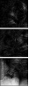 59435794