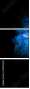 59438248