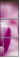59655482