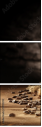 59781702