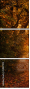59871115