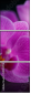 59923716