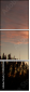 59928266