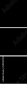 59945759