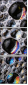 60098893