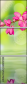 60212594