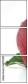 60597899