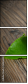 60636544