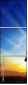 60981945