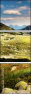 61139815