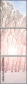 61239166