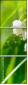 61638784