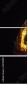 61751589